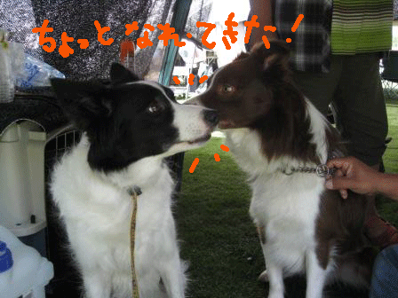 f0175449_22515752.gif