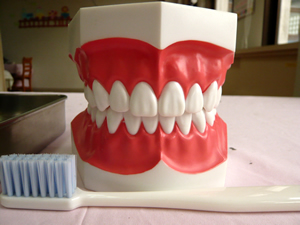 歯科衛生士本番～_f0116855_1152496.jpg