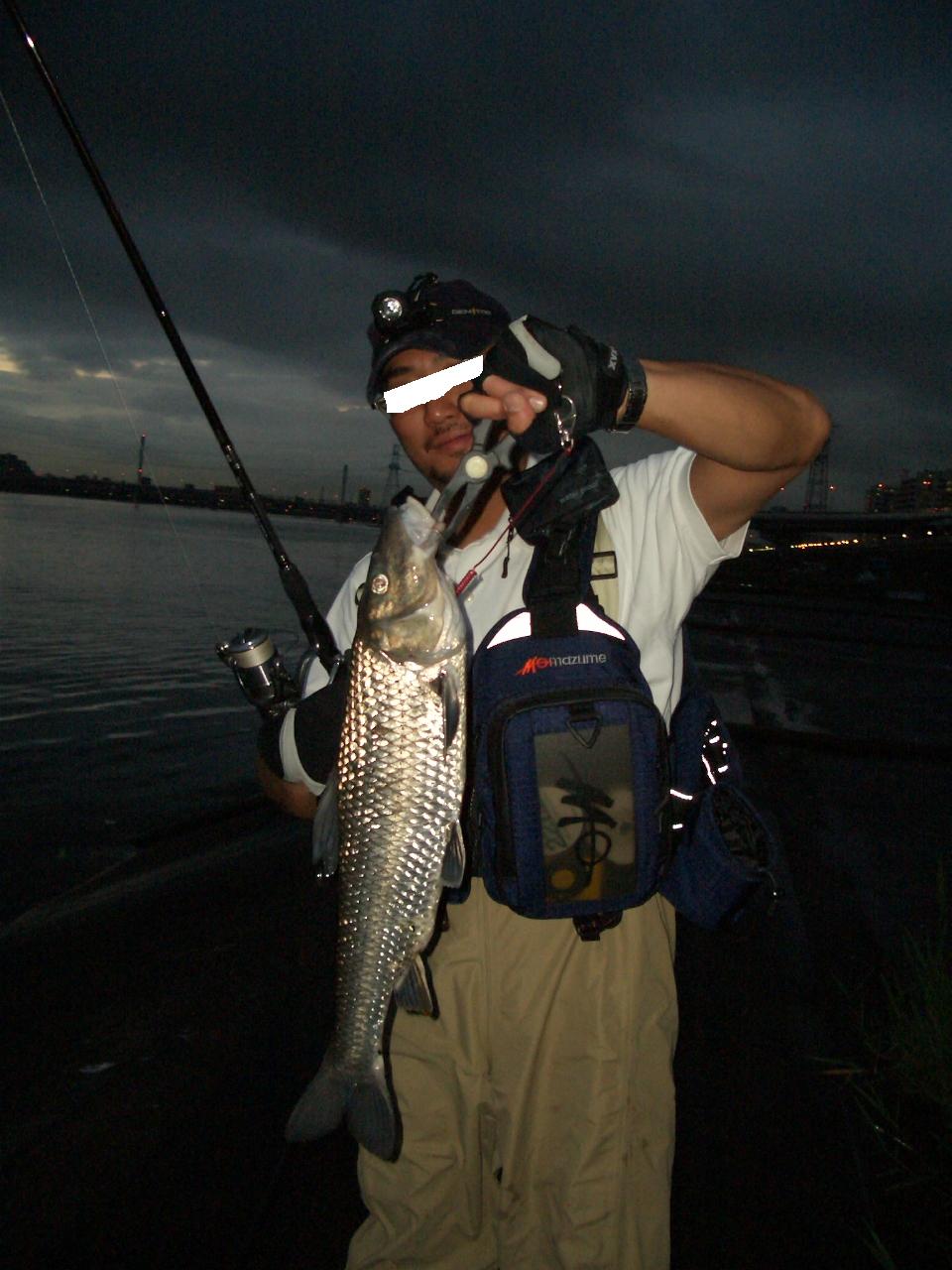 08年6月5日 荒川河口 シーバス 荒川土手でシーバスを釣ってみようと思ふ 08年6月5日 荒川河口 シーバス 荒川土手でシーバスを釣ってみようと思ふ