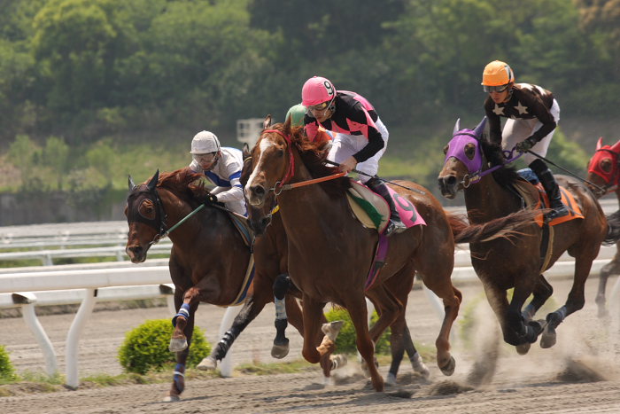 2008年4月27日(日) 高知競馬 4R_a0077663_18475424.jpg