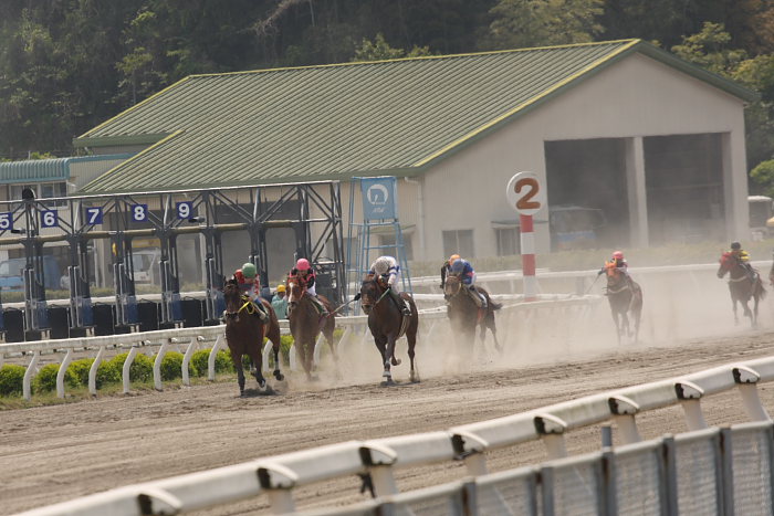 2008年4月27日（日） 高知競馬 4R_a0077663_1848122.jpg