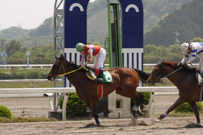 2008年4月27日(日) 高知競馬 4R_a0077663_1848179.jpg