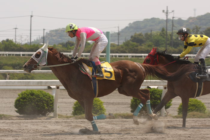 2008年4月27日(日) 高知競馬 4R_a0077663_18482731.jpg