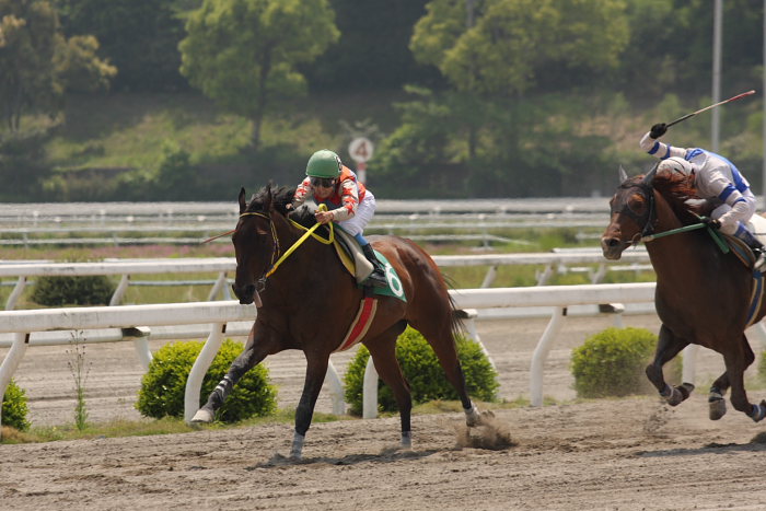 2008年4月27日(日) 高知競馬 4R_a0077663_1848835.jpg