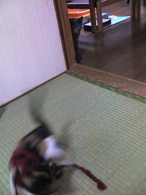 e0072264_10174185.jpg