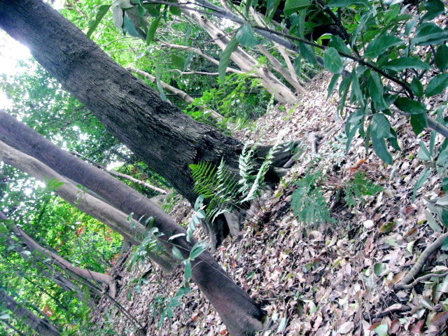 e0139165_141851.jpg