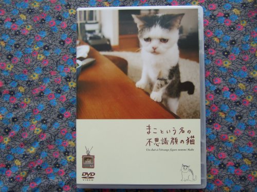 まこという名の不思議顔の猫　ＤＶＤ！_f0167281_20294980.jpg