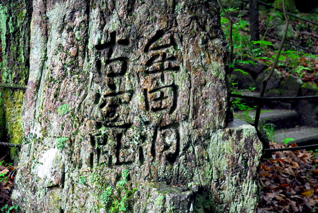 窯場探訪(2) 美濃古窯_d0085887_23523390.jpg