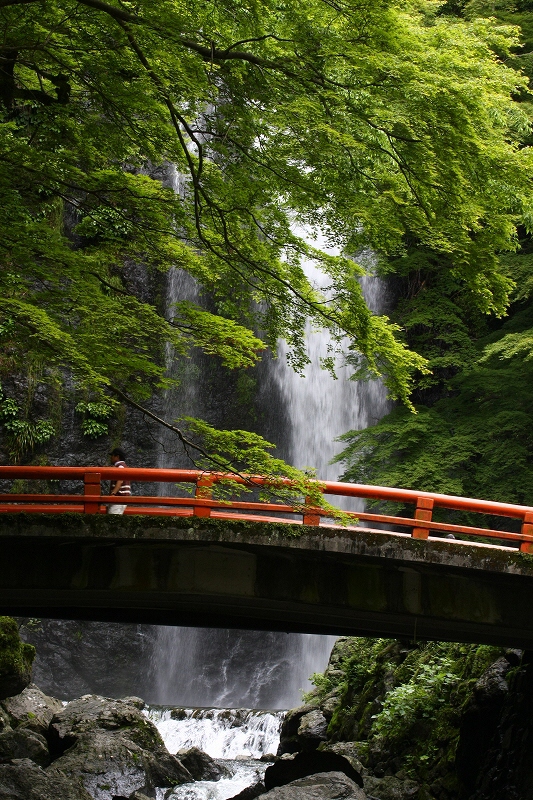 雨の中_f0144289_18142575.jpg