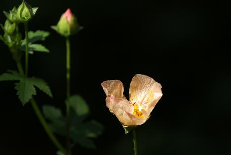 d0025894_233992.jpg