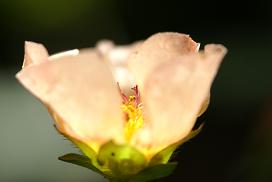 d0025894_23402685.jpg