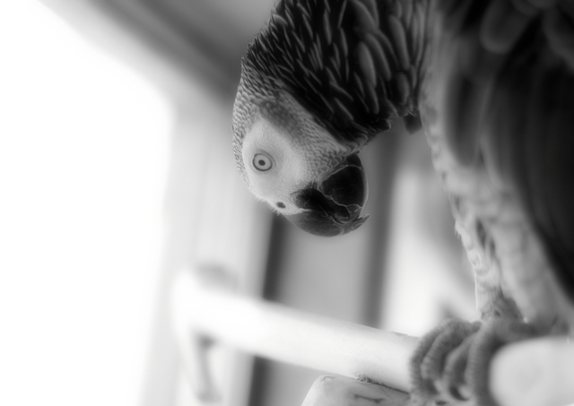 c0118496_1824529.jpg