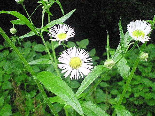 b0075797_1133254.jpg