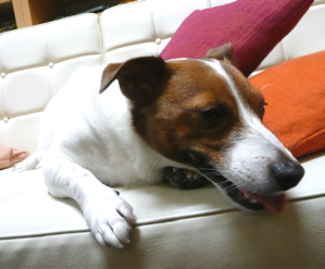 f0146198_1342833.jpg