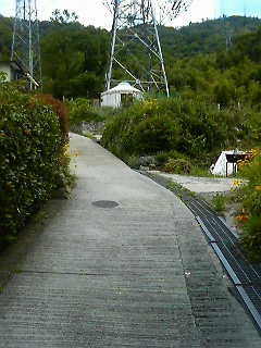 a0065000_1944964.jpg