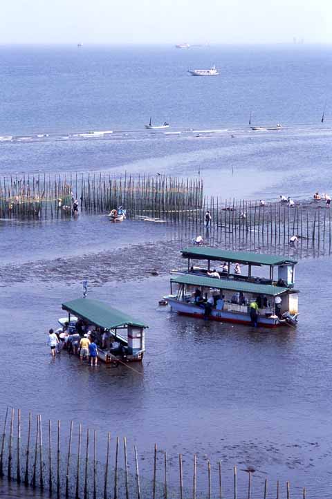 東京湾の干潟の楽しみ すだて漁 眞鍋じゅんこのまっすぐには歩けない 東京湾の干潟の楽しみ すだて漁 眞鍋じゅんこのまっすぐには歩けない