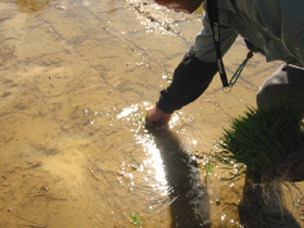 d0040729_01550.jpg