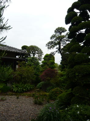 e0083230_1674080.jpg