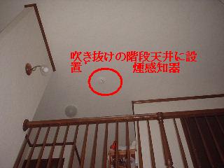 ウッドデッキ最終日_f0031037_1738438.jpg