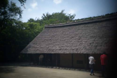 f0035343_17264558.jpg
