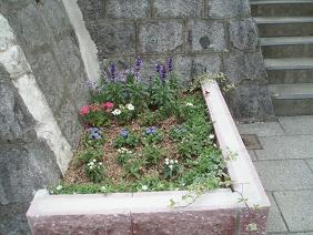 f0064449_10544984.jpg