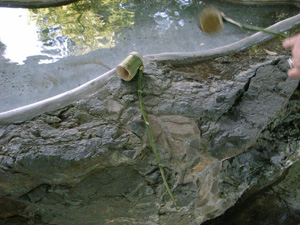 c0092152_02019.jpg