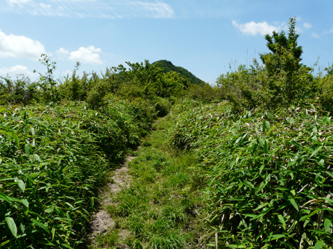 2008/06/01 新緑煌く初夏の古光山_e0050472_0524939.jpg