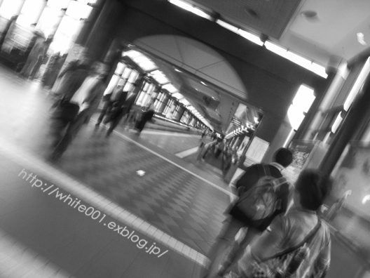 e0027083_03303.jpg