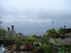 ２００８年６月５日　梅雨だなあ    _b0098584_0272192.jpg