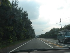 ２００８年６月５日　梅雨だなあ    _b0098584_0534469.jpg