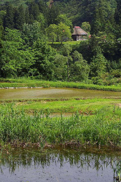 ４９５　茅屋の風景_b0002695_22222577.jpg