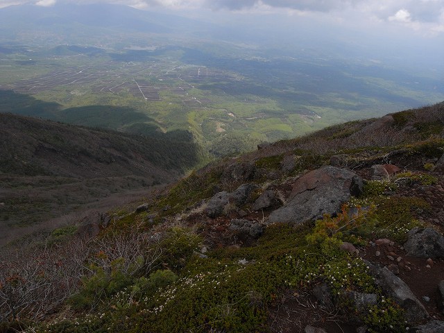 ６月６日、浅間山(前掛山）に登る_f0138096_20175914.jpg
