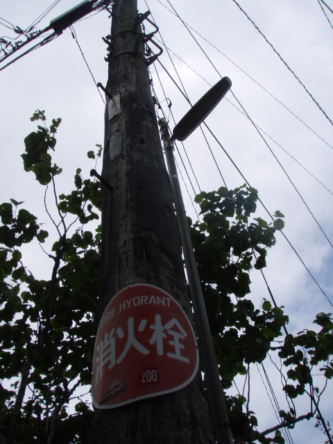 三浦半島一周てく・もぐウォーキング（浦賀→ＹＲＰ野比）②_c0008598_8424185.jpg