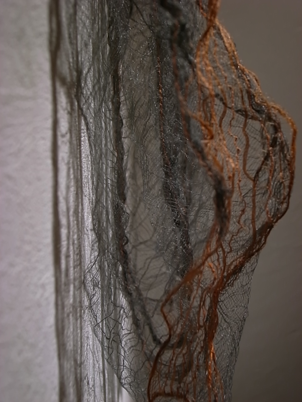 e0041699_174260.jpg