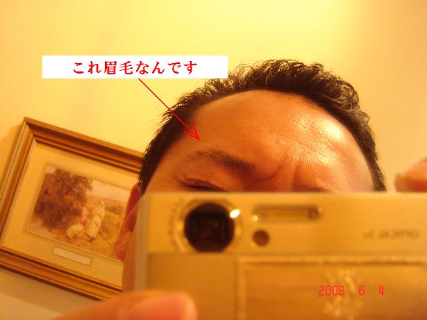 6月6日 眉毛が伸びる 6月6日 眉毛が伸びる