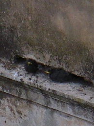 f0133814_21543229.jpg