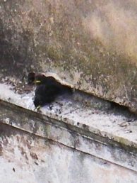 f0133814_21562861.jpg