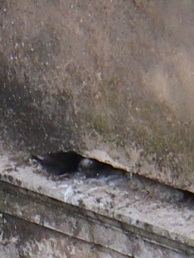 f0133814_21572478.jpg