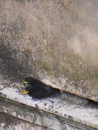 f0133814_2157454.jpg