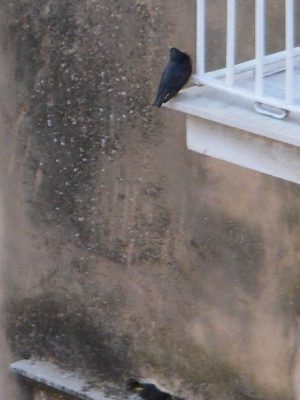 f0133814_2224632.jpg