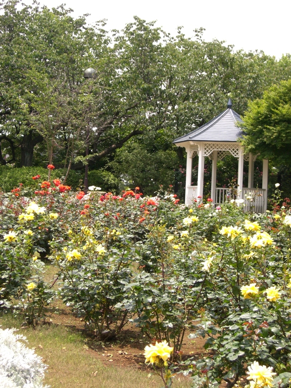 d0023818_23351024.jpg