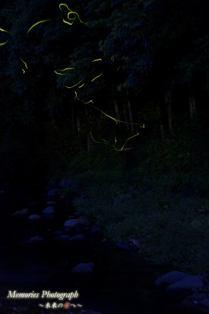 c0089419_21315617.jpg