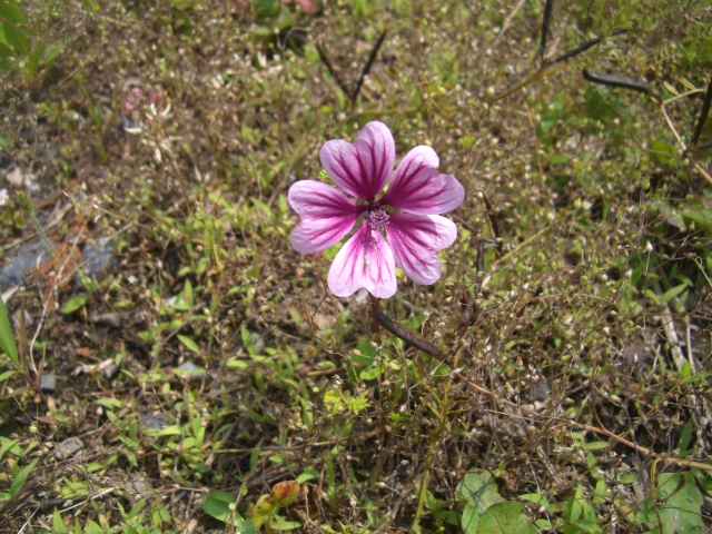 c0123029_1401895.jpg