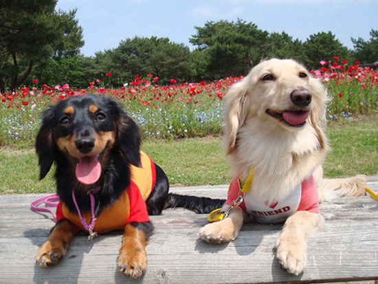 ０８年６月７日　ひたち海浜公園へお出掛け♪_c0117831_22455534.jpg