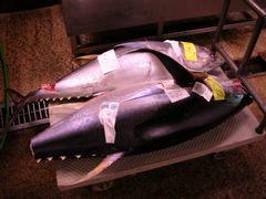 b0042334_0421270.jpg