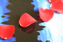 f0134642_132055.gif
