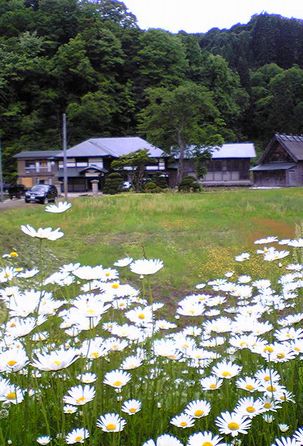 阿部寛行さんを偲ぶ会_f0081443_21131351.jpg