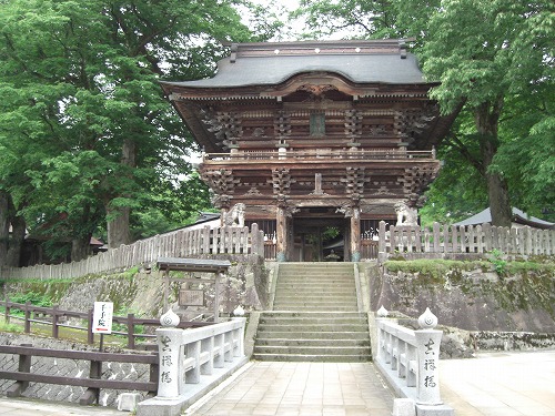 山門の欅の緑がきれいです_a0084753_1635387.jpg