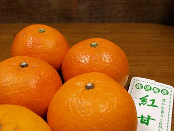 ☆紅甘夏べにあまなつ☆_c0092953_2259447.jpg