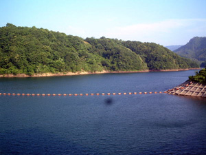 f0160561_1502778.jpg